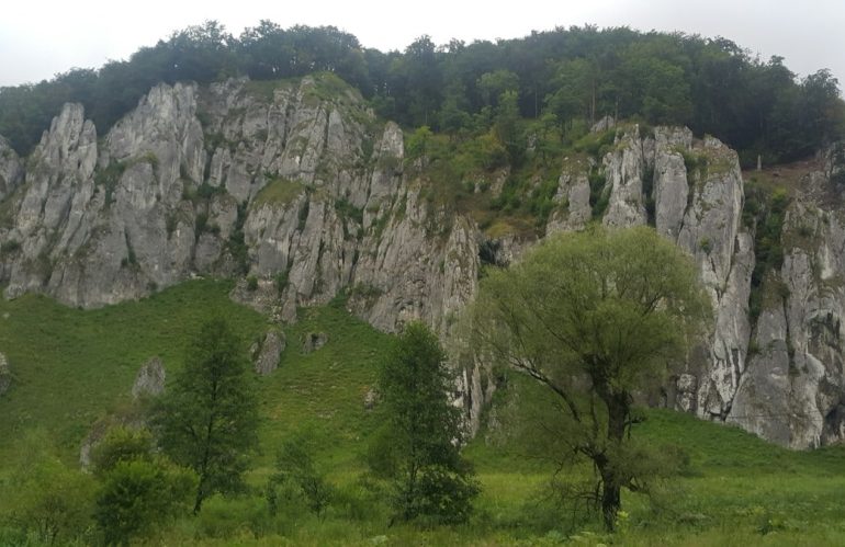 Kako održati zdravu rutinu